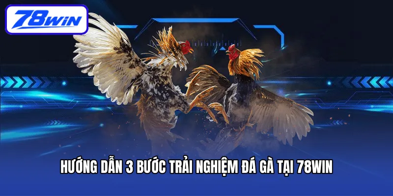 Hướng dẫn 3 bước trải nghiệm đá gà tại 78win